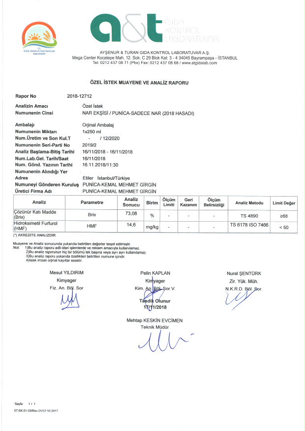 ANALYSIS & REPORTS 13