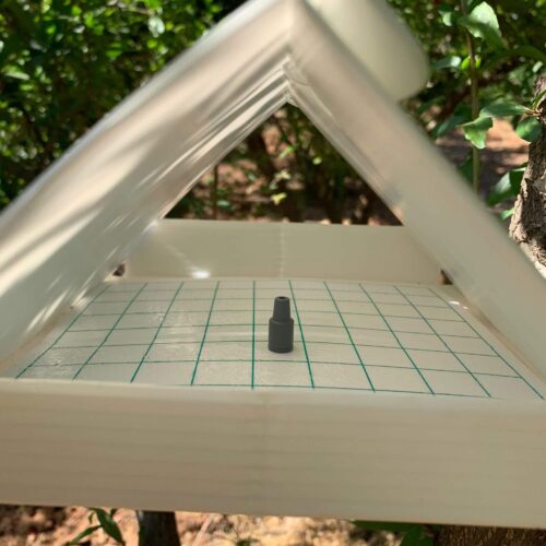 Punica Nar Bahçemiz (9)